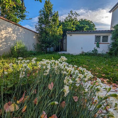 La Maison Calme Et Lumineuse Avec Jardin Τουλούζη Εξωτερικό φωτογραφία