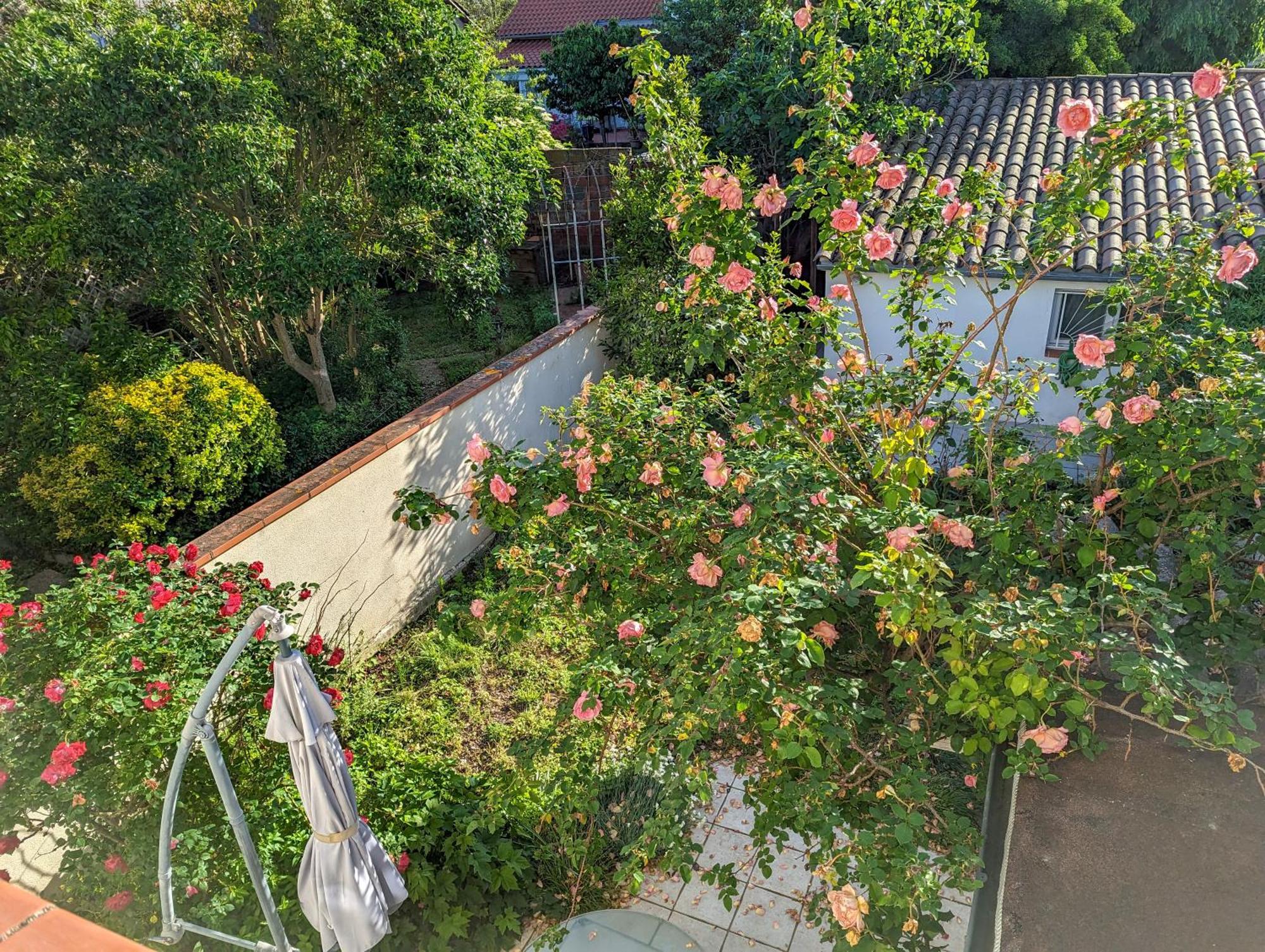 La Maison Calme Et Lumineuse Avec Jardin Τουλούζη Εξωτερικό φωτογραφία